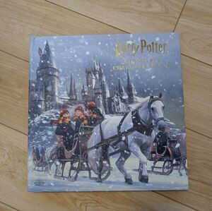 Harry Potter Christmas Popup Advent Calendar